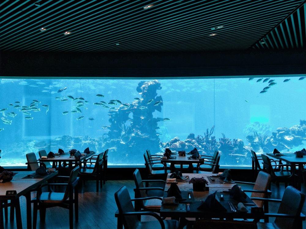 三亚海底餐厅叫什么名字,三亚问题,马尔代夫旅游