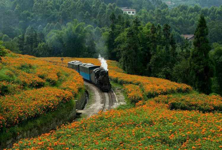 嘉阳新的生活住宅区的所在地,2012年春节,嘉阳小火车旅游观光车的始发