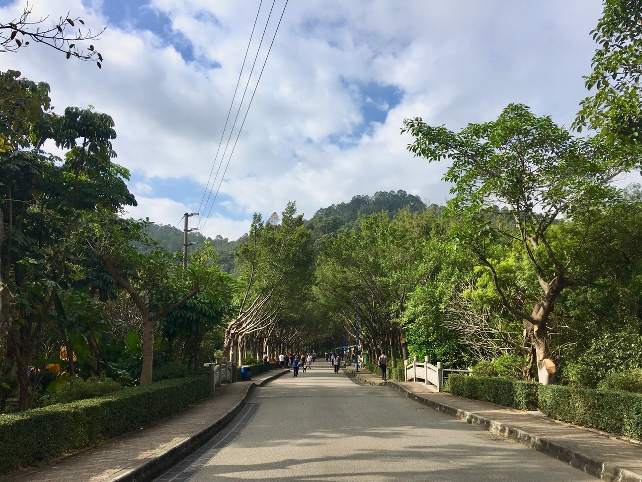 滴水岩森林公园有什么景点