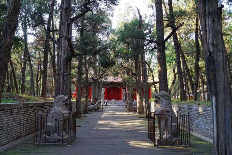 济宁周边游旅游景点