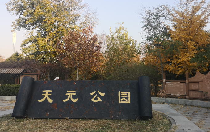 北京天元公园银杏林最佳时期