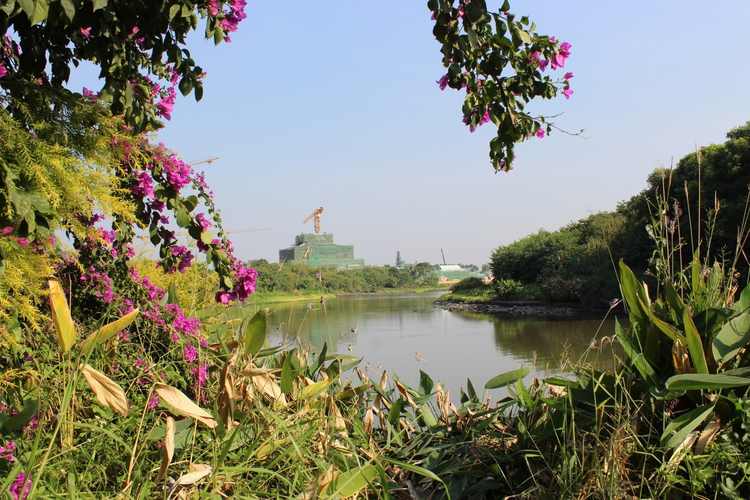 广州海珠湿地公园有什么景点