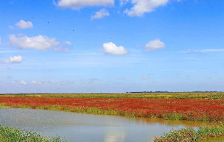 松原景点,吉林问题,吉林旅游 - wee旅