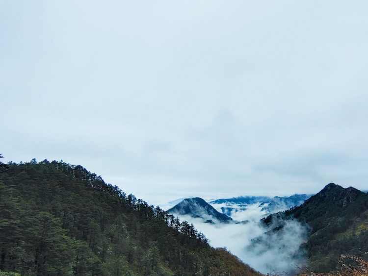 西岭雪山前山后山区别