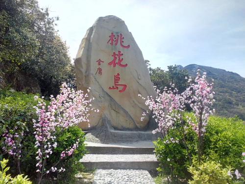 赣县桃花岛可以带宠物么