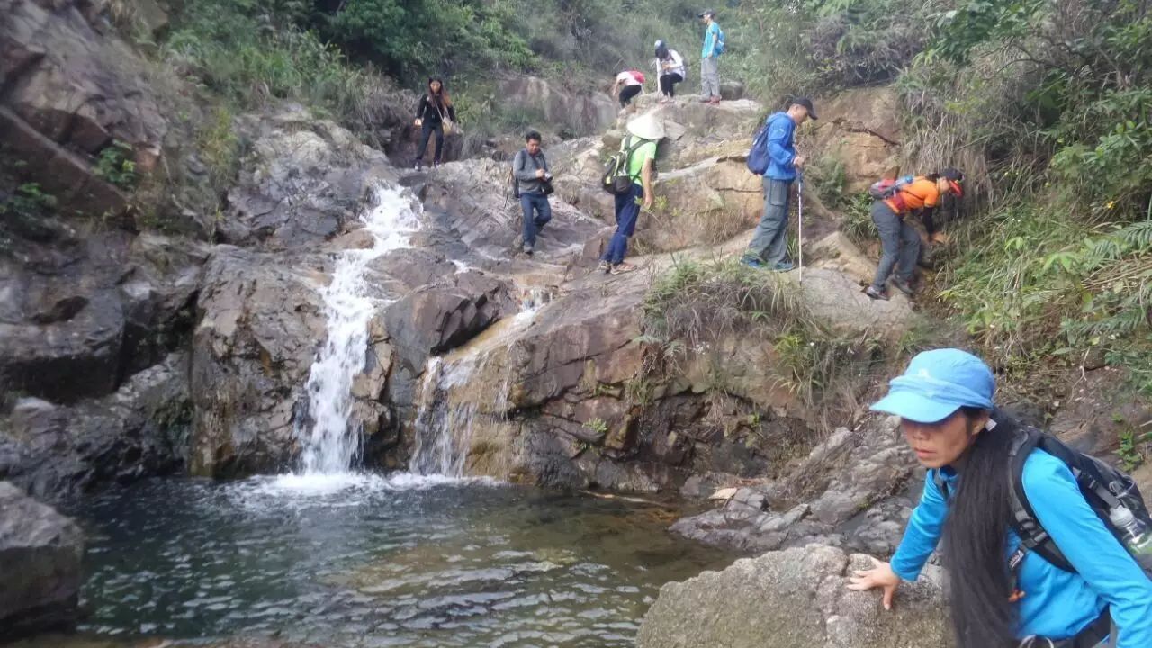 黄杨八景是哪八景