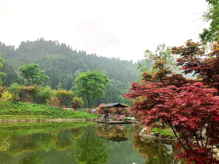 川西红枫岭景区最佳观赏时间