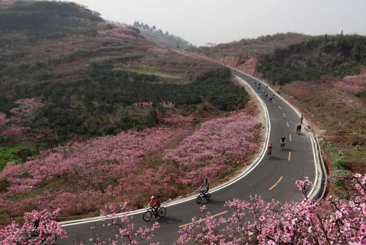 丹棱县旅游景点