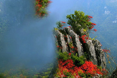 兰英大峡谷红叶最佳季节