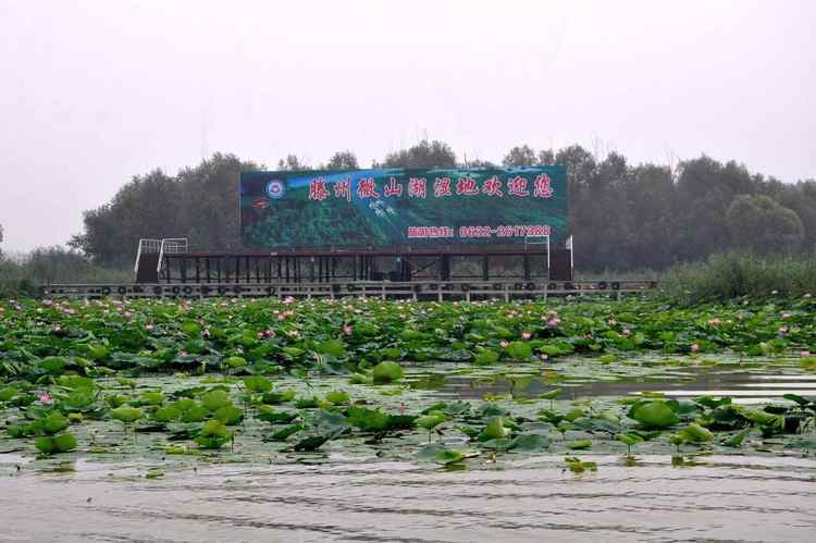 微山湖有哪些景点,济宁问题,济宁旅游 - wee旅