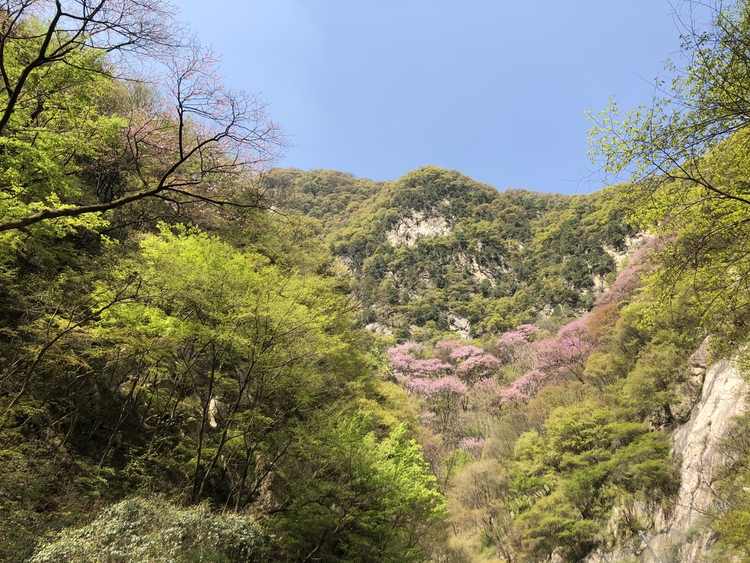 太平国家森林公园有什么景点