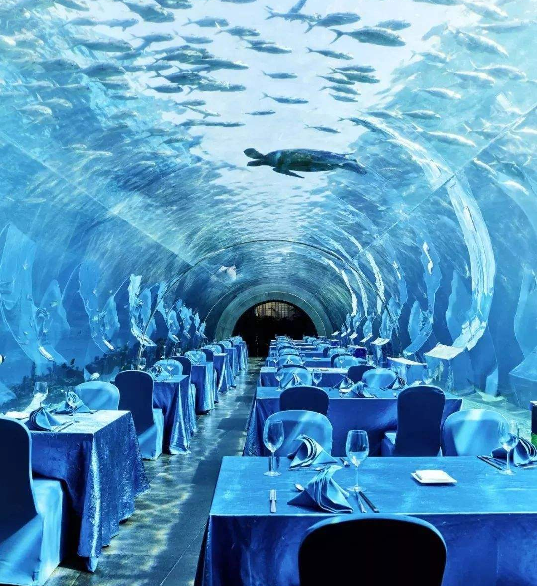 海底餐厅是如何设计建造 - 哔哩哔哩