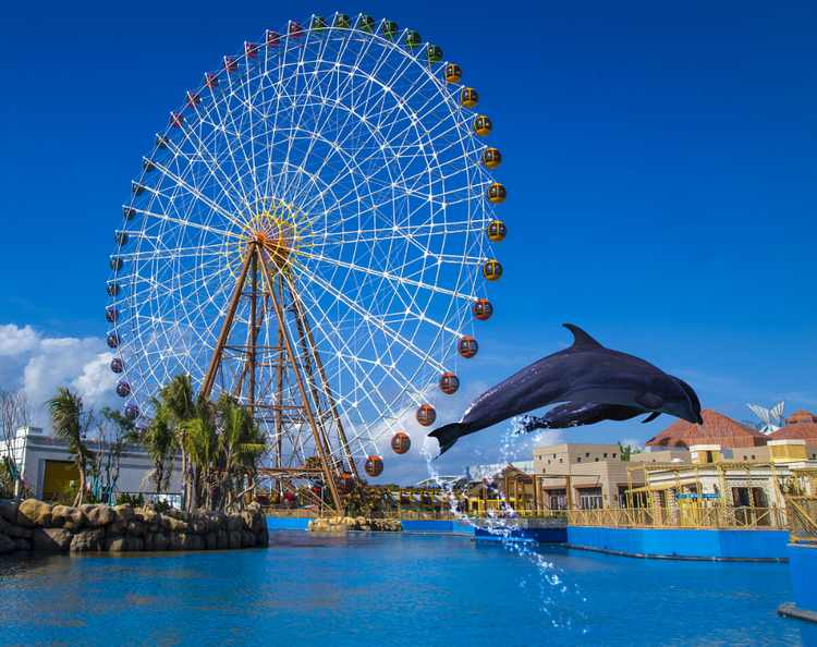 海豚湾隶属于三亚哪个区