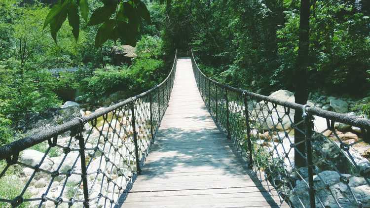 太白山國家森林公園附近好玩的景點