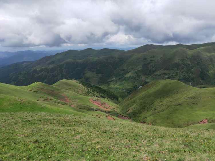 大海草山位於會澤縣大海鄉東南部,屬烏蒙山系主峰段,草山地勢平緩