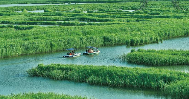 鄱阳湖免费景点自驾游图片