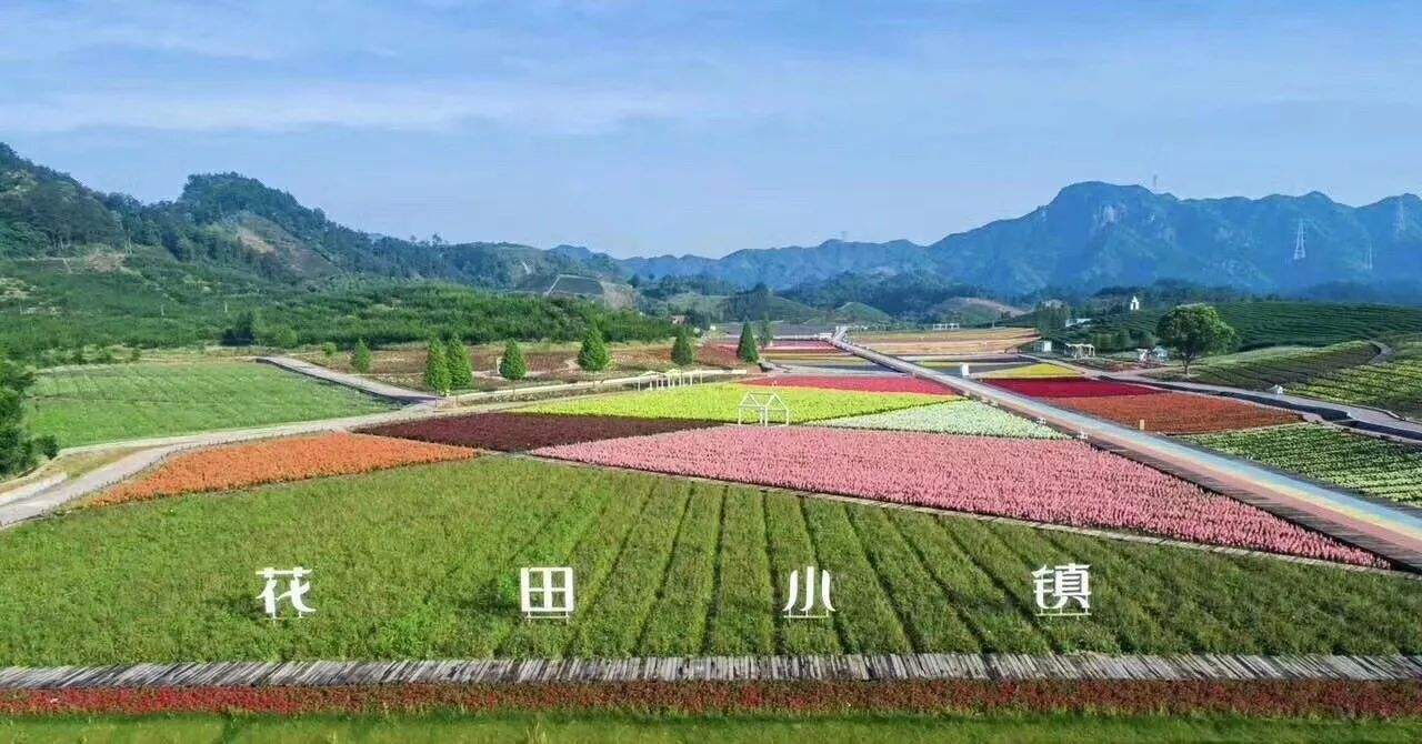 武义花田小镇开放时间