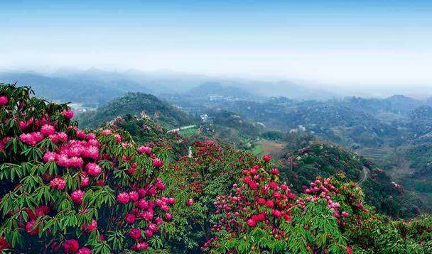 百里杜鵑風景名勝區特點,貴州問題,馬爾代夫旅遊 - wee旅