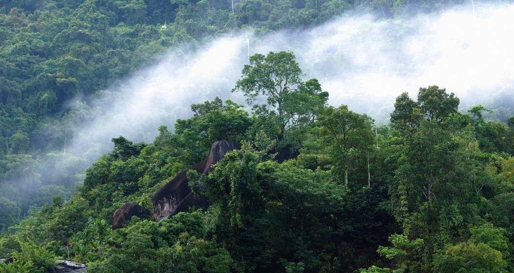 吊罗山海拔图片