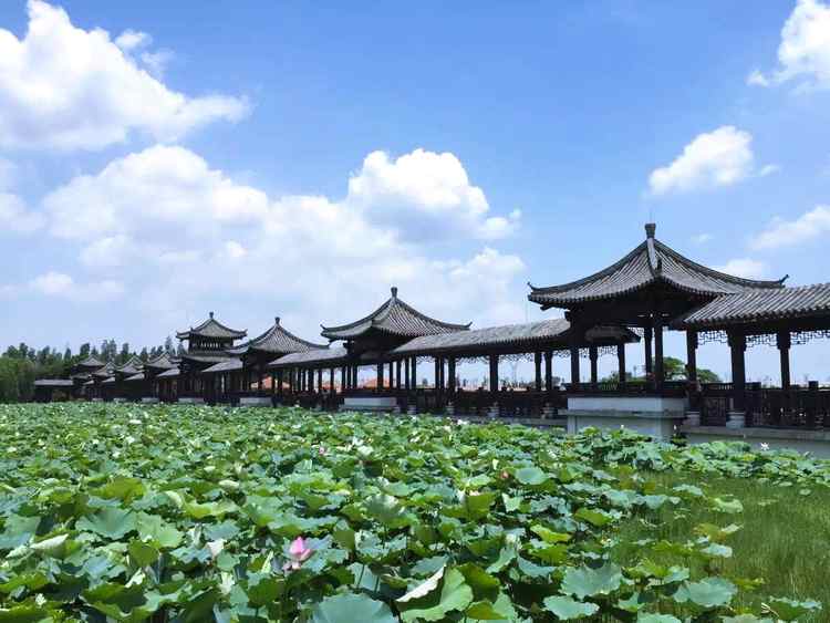 蓮花世界是國家aaaa級旅遊景區,