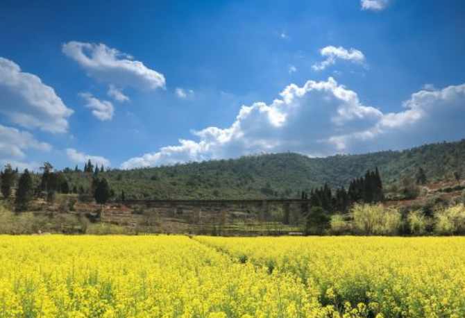 世界園藝博覽園世界園藝博覽園又稱世博園,位於昆明東北郊的鳴鳳山下