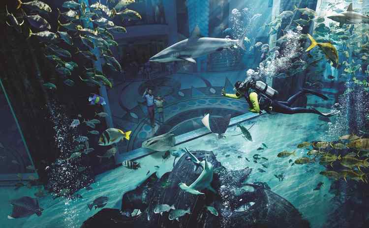 亞特蘭蒂斯水世界和水族館,一個水上游樂項目,一個海洋動物世界.