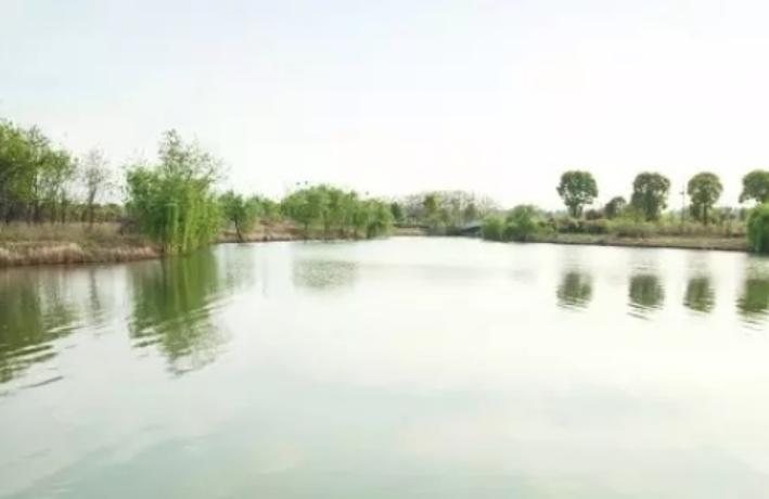 黄陂有哪些好玩的地方景点?武汉黄陂好玩的地方景点推荐一日游(图3) 黄陂有哪些好玩的地方景点?武汉黄陂好玩的地方景点推荐一日游(图3)