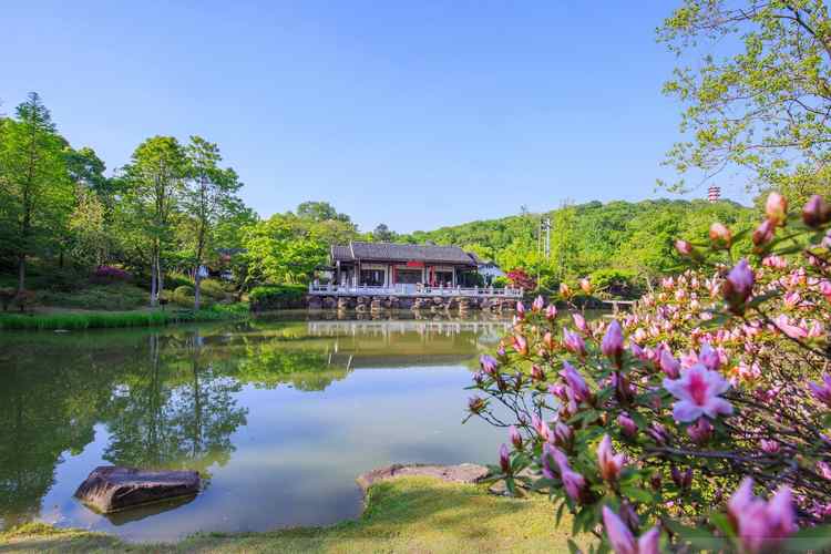 唐代茶聖陸羽曾到無錫訪友,居惠山寺,他對惠山