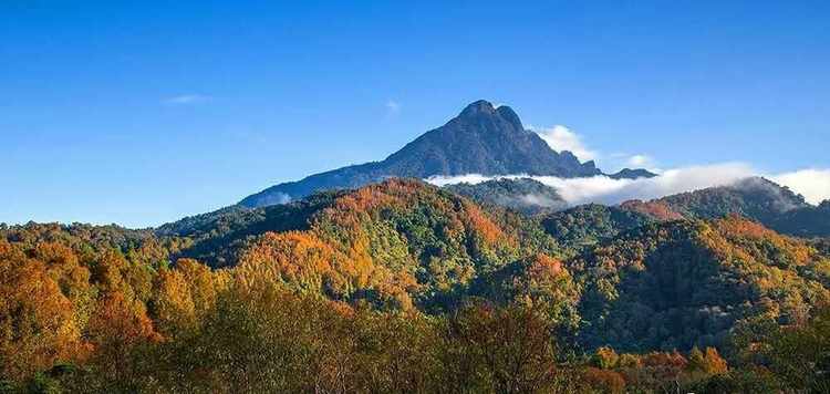 海南島的中部,因峰巒起伏形似五隻手指而得名,最高峰是二指,海拔1867