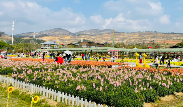 佛山哪裡有花海的景點,佛山問題,馬爾代夫旅遊 - wee旅