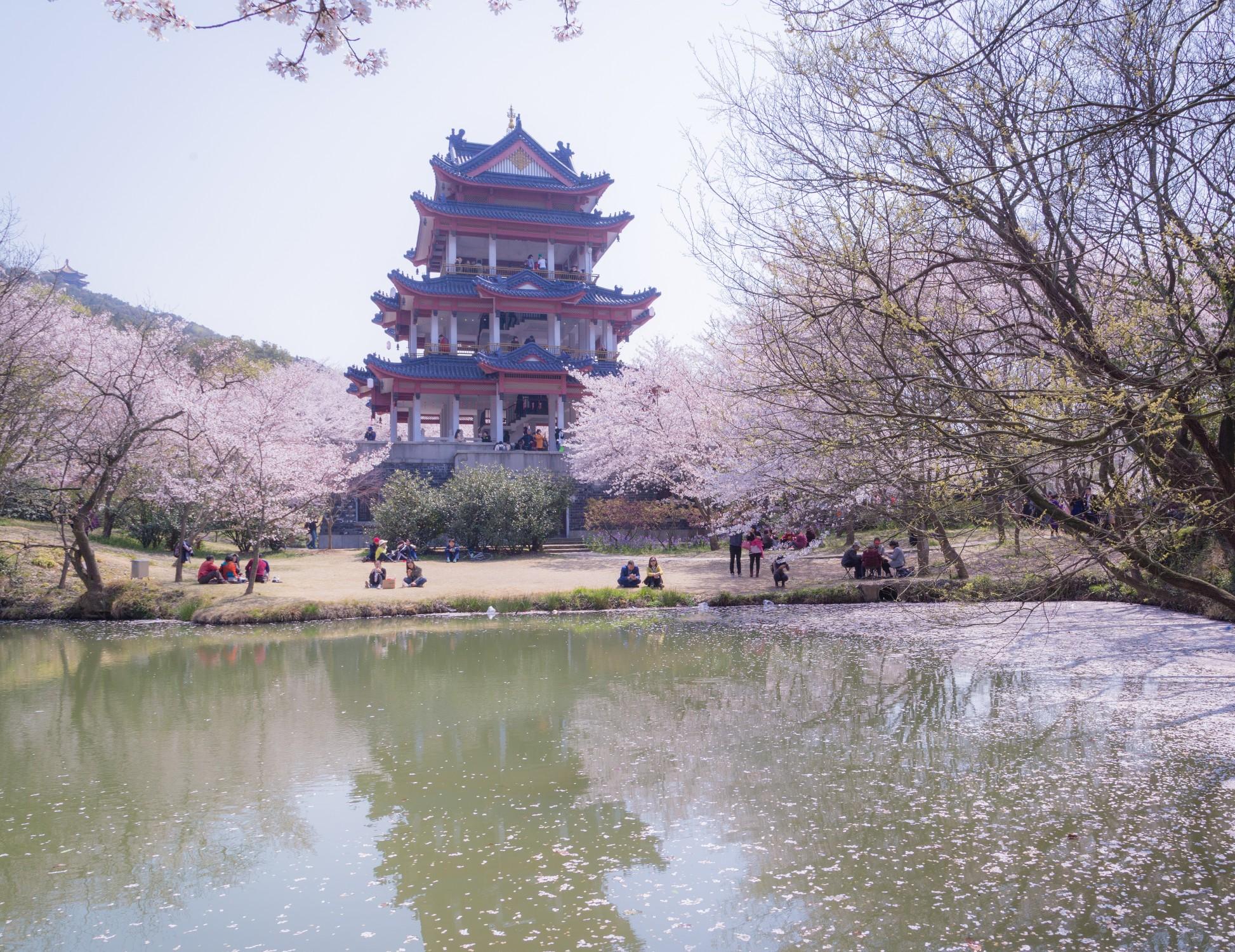 郭莊茶室,綠水芙蕖茶吧,聞鶯館,望湖樓