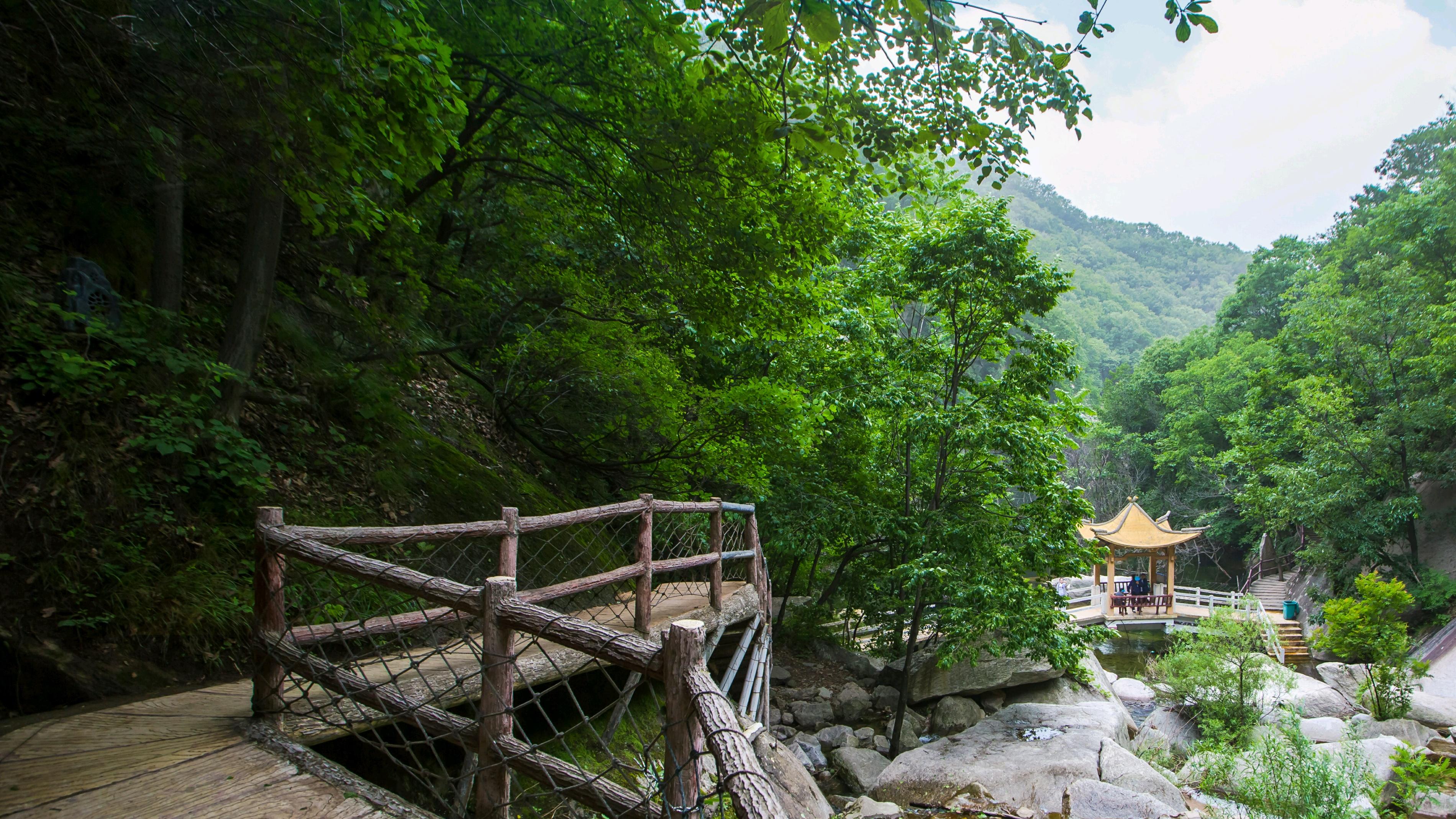 河南木札岭风景区图片