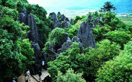 永安旅遊景點介紹