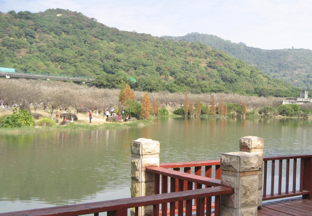 广州萝岗香雪公园图片图片