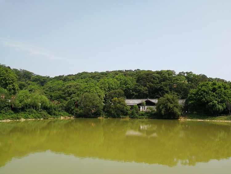 高蓋山公園有什麼景點