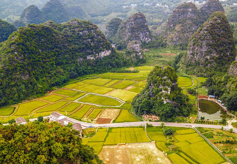 贵阳市周边油菜花景点图片