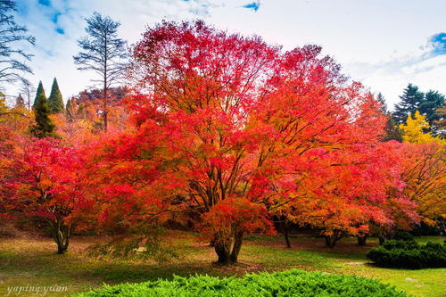 什么的季节(什么的季节电视剧)