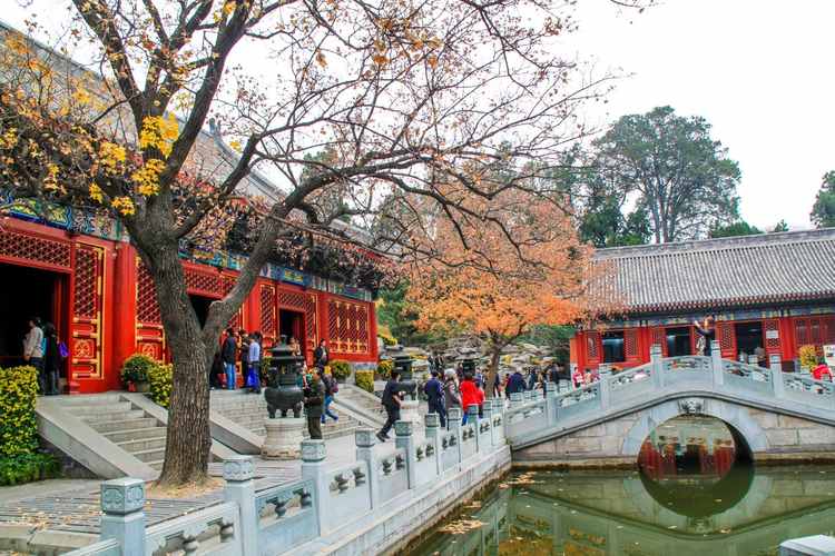 香山公园有老年票吗 北京问题 北京旅游 Wee旅