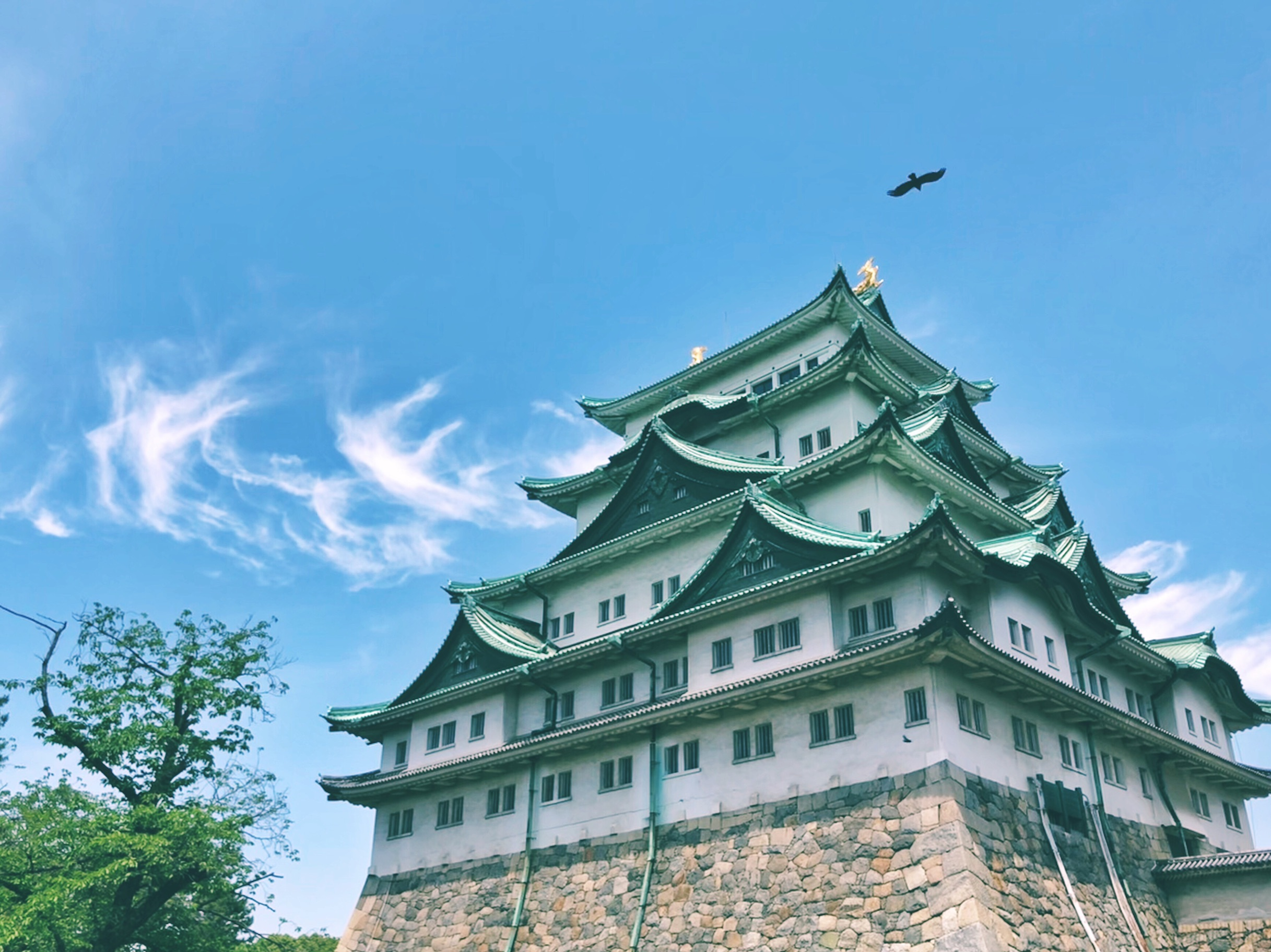 田神宮,天守閣,榮購物街區,山崎川,shikemichi老街區,名古屋港水族館