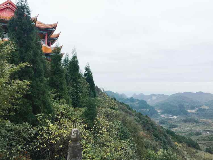 鳥,林,泉,洞,寨於一體,是全國唯一的水上杜鵑花景區;威遠潮井長順縣