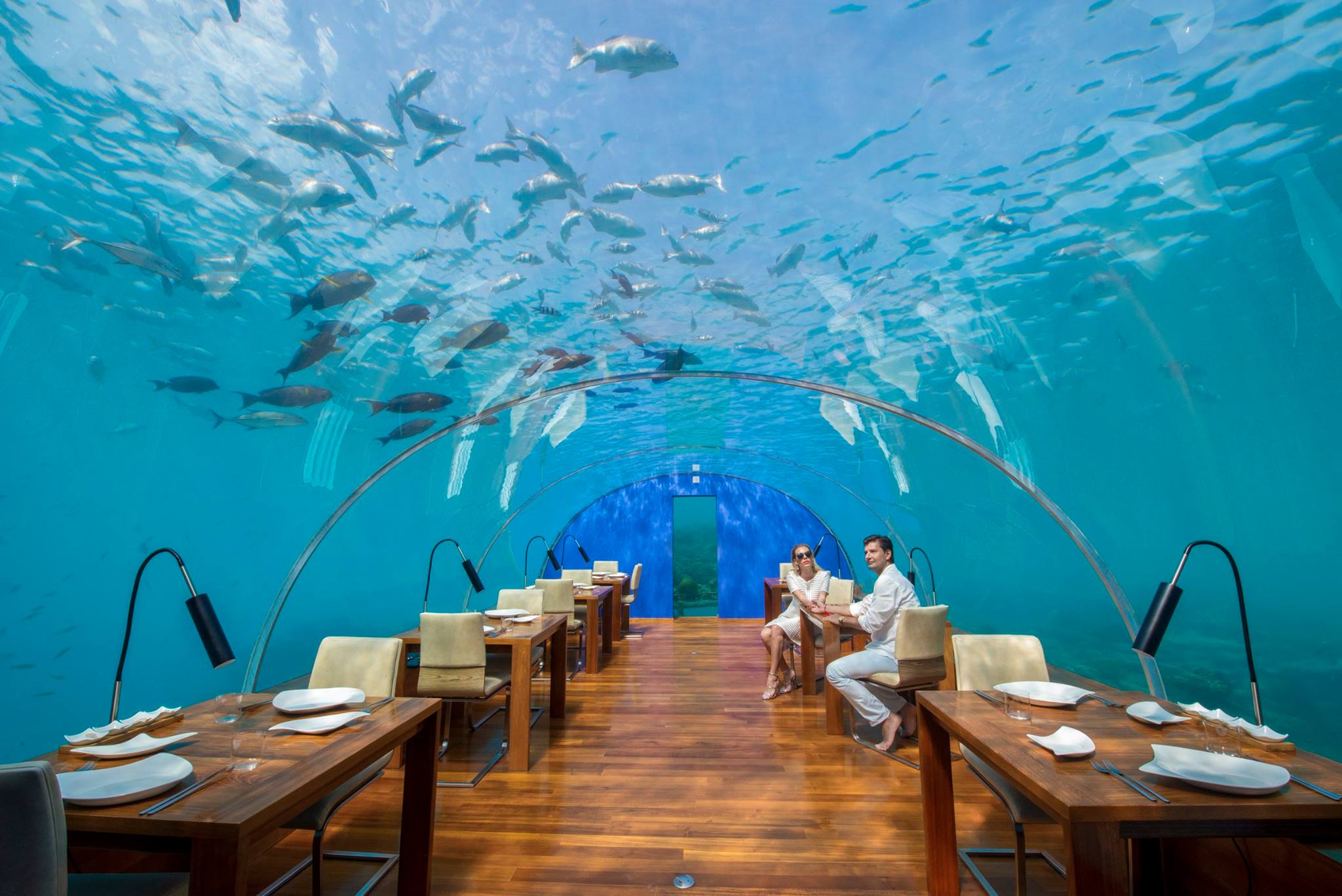 马尔代夫哪些岛有水下餐厅