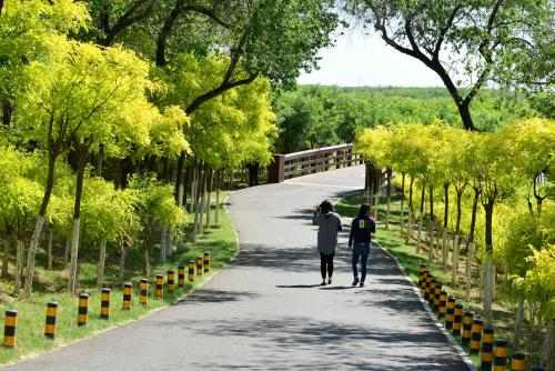 天津北辰郊野公園介紹